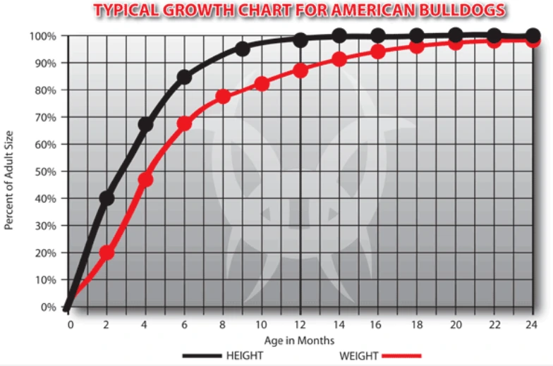 %EC%8A%A4%ED%81%AC%EB%A6%B0%EC%83%B7_2024-05-22_162323.png?type=w1
