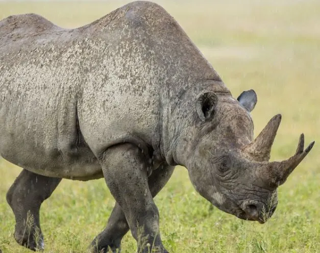 %EC%BA%A1%EC%B2%9810.JPG?type=w1