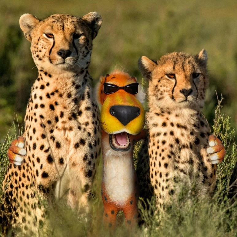 DJX-BGmUMAE5ucj.jpg?type=w773