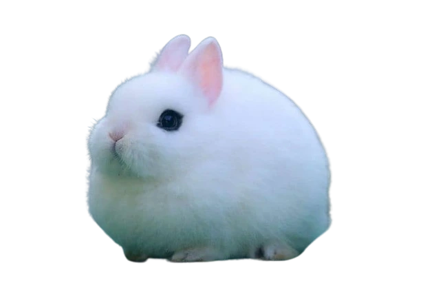 %EB%8B%A4%EC%9A%B4%EB%A1%9C%EB%93%9C.png?type=w1