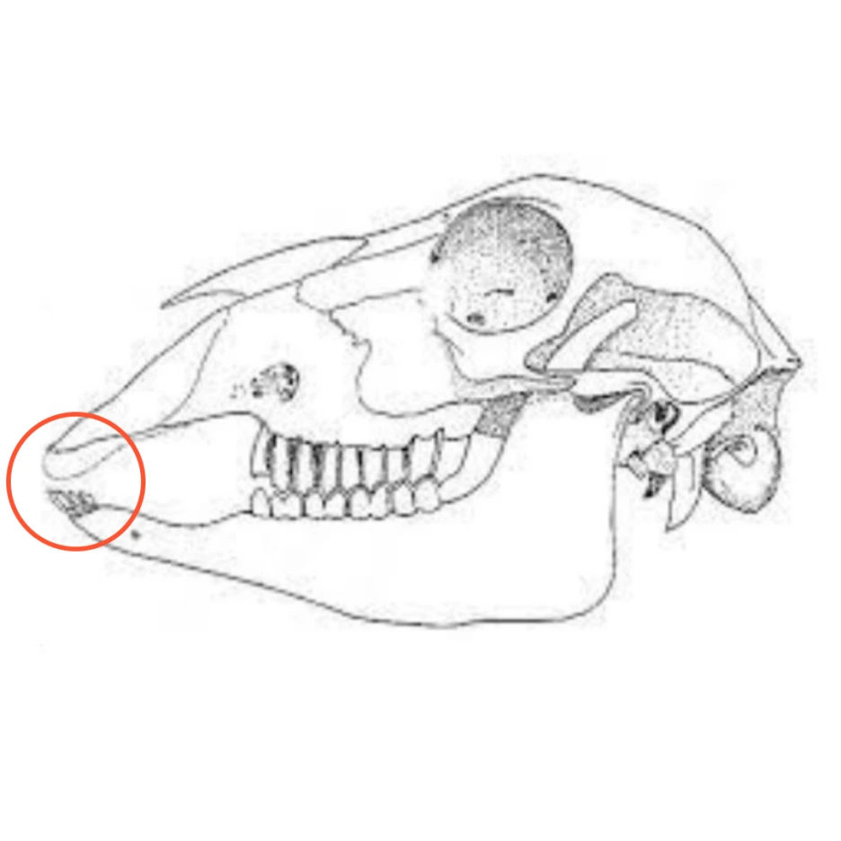 %EC%A0%9C%EB%AA%A9%EC%9D%84-%EC%9E%85%EB%A0%A5%ED%95%B4%EC%A3%BC%EC%84%B8%EC%9A%94_-002.png?type=w1