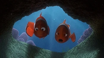 222C243955D1DA4533.gif?type=w773