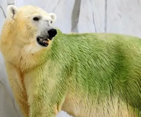 %EC%BA%A1%EC%B2%98.JPG?type=w1