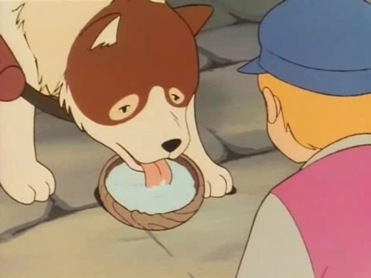 13516580_107385479694284_3322704679360380277_n.jpg?type=w773