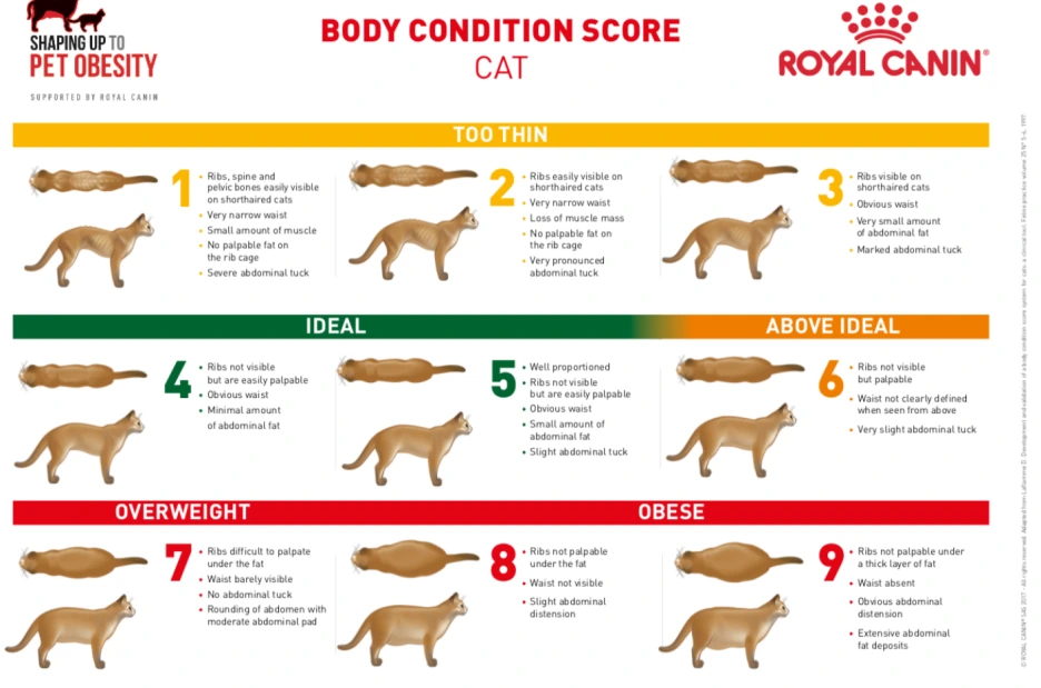 %EC%8A%A4%ED%81%AC%EB%A6%B0%EC%83%B7_2024-04-01_142658.png?type=w1