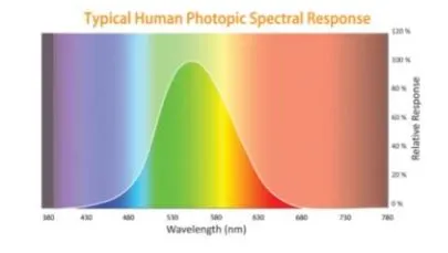 %EC%BA%A1%EC%B2%986.JPG?type=w1