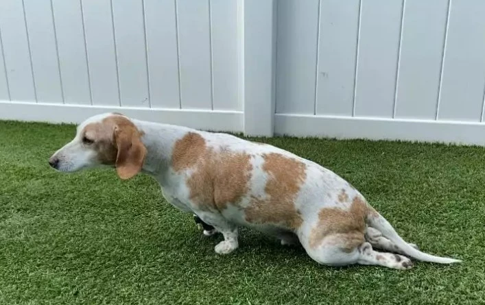 %ED%99%94%EB%A9%B4_%EC%BA%A1%EC%B2%98_2023-03-27_151940.jpg?type=w1