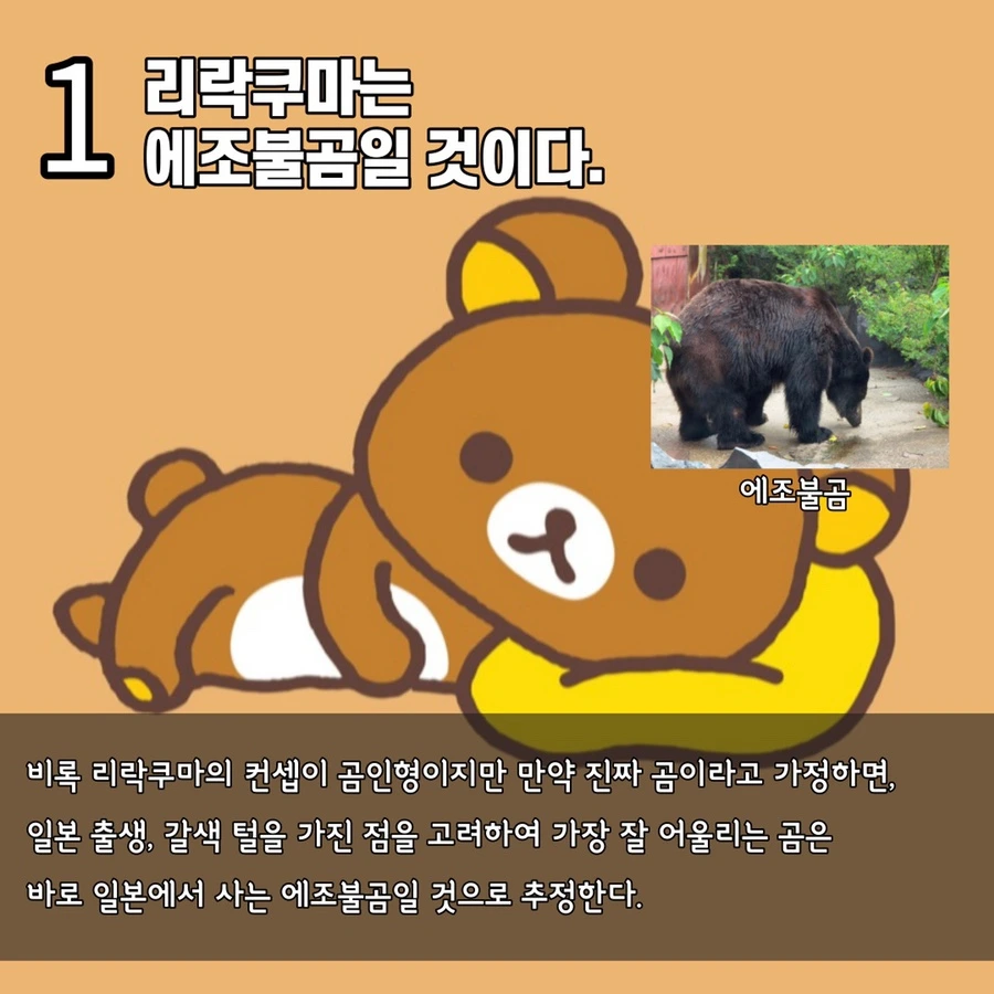 IMG_4907.JPG?type=w1