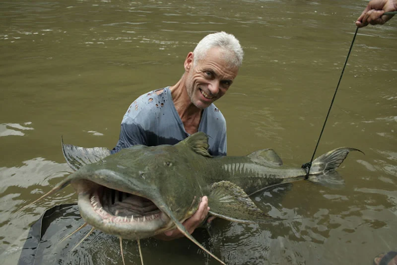 Giant-Catfish.jpg?type=w1