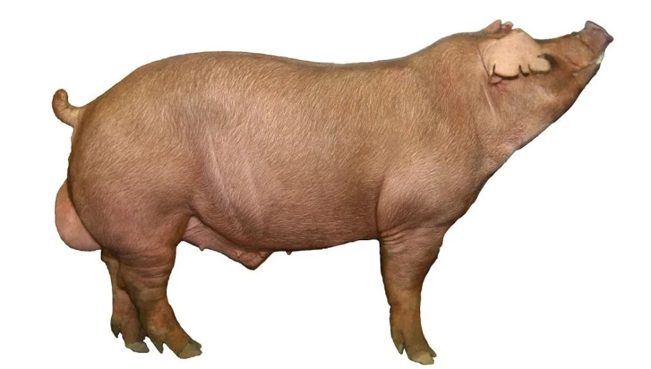 %EC%BA%A1%EC%B2%9817.JPG?type=w1