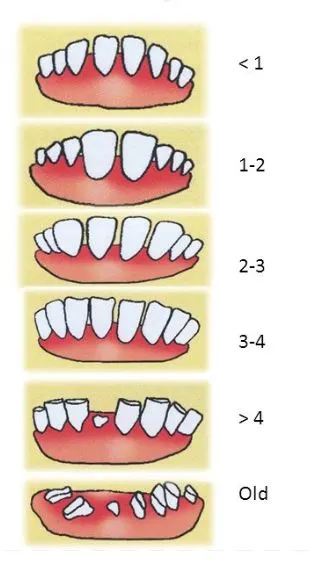 %EC%BA%A1%EC%B2%984.JPG?type=w1