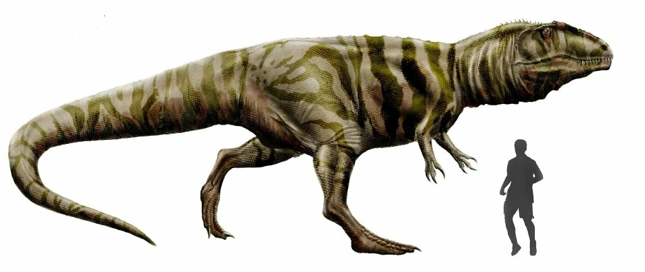 2048px-Giganotosaurus_carolinii_by_durbed.jpg?type=w1