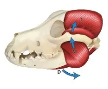 %EC%BA%A1%EC%B2%983.JPG?type=w1