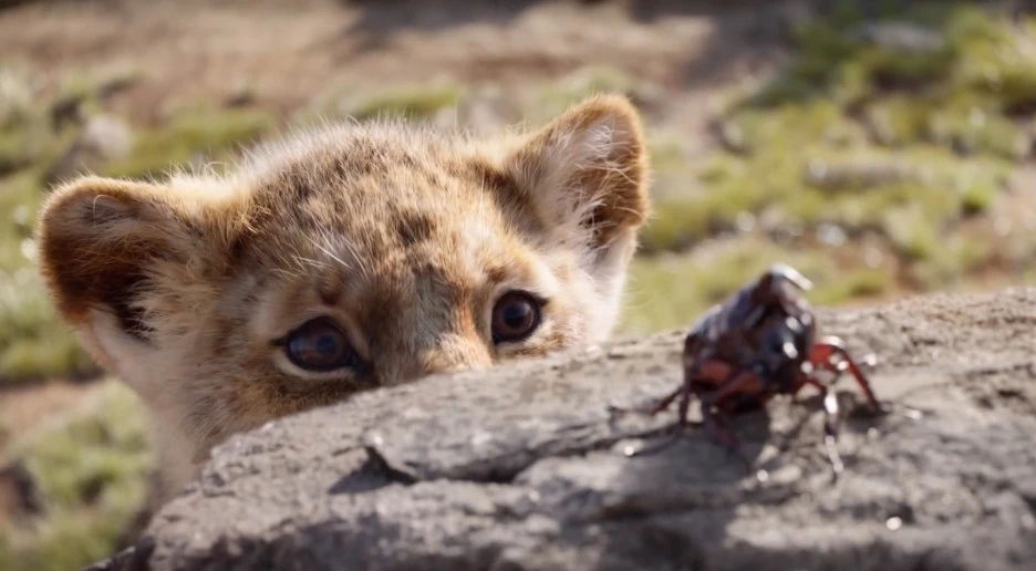 Screenshot-2019-07-22-at-13.11.18.jpg?type=w1