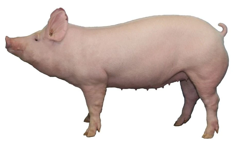 %EC%BA%A1%EC%B2%9816.JPG?type=w1