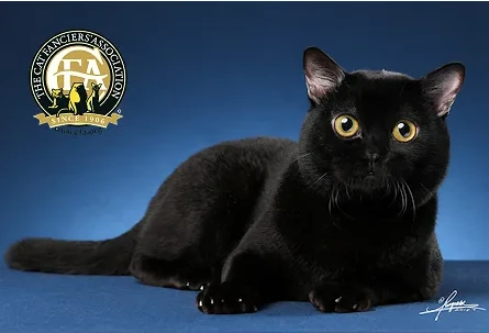 %EC%8A%A4%ED%81%AC%EB%A6%B0%EC%83%B7_2024-04-21_162019.png?type=w1