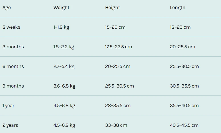 %EC%8A%A4%ED%81%AC%EB%A6%B0%EC%83%B7_2024-01-25_105233.png?type=w1