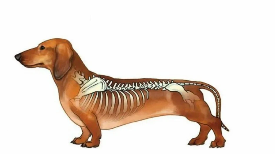 %EC%A0%9C%EB%AA%A9%EC%9D%84-%EC%9E%85%EB%A0%A5%ED%95%B4%EC%A3%BC%EC%84%B8%EC%9A%94_-002.jpg?type=w1