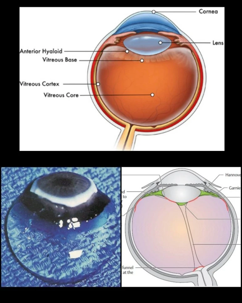 CollageMaker_20200704_234144063-819x1024.jpg?type=w773