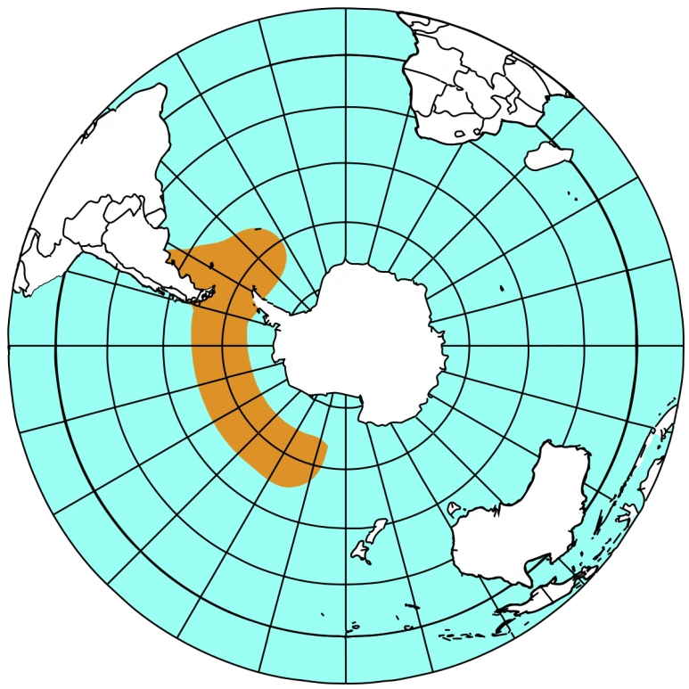 1200px-Gentoo_penguin_distribution.svg.png?type=w773