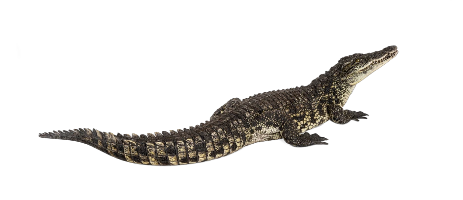 remove-bg-20231208163406.png?type=w1