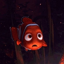 finding-nemo-confused.gif?type=w773