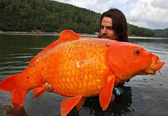 %EC%BA%A1%EC%B2%984.JPG?type=w1