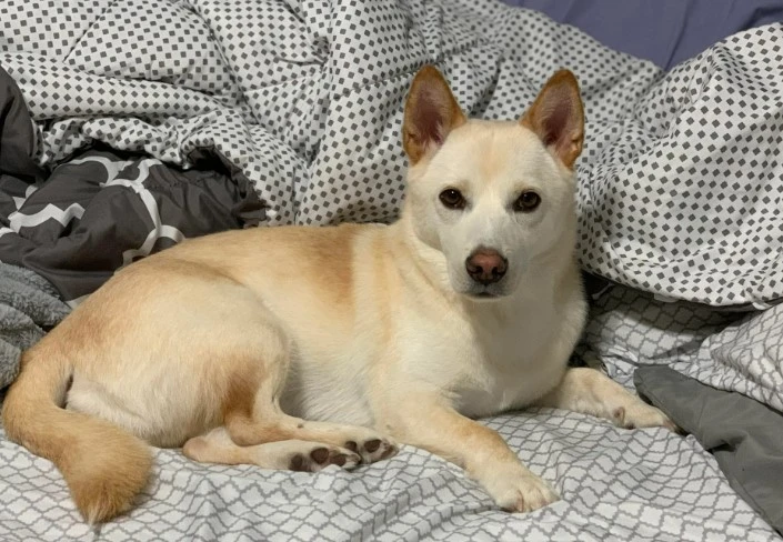 %ED%99%94%EB%A9%B4_%EC%BA%A1%EC%B2%98_2023-09-24_175720.jpg?type=w1