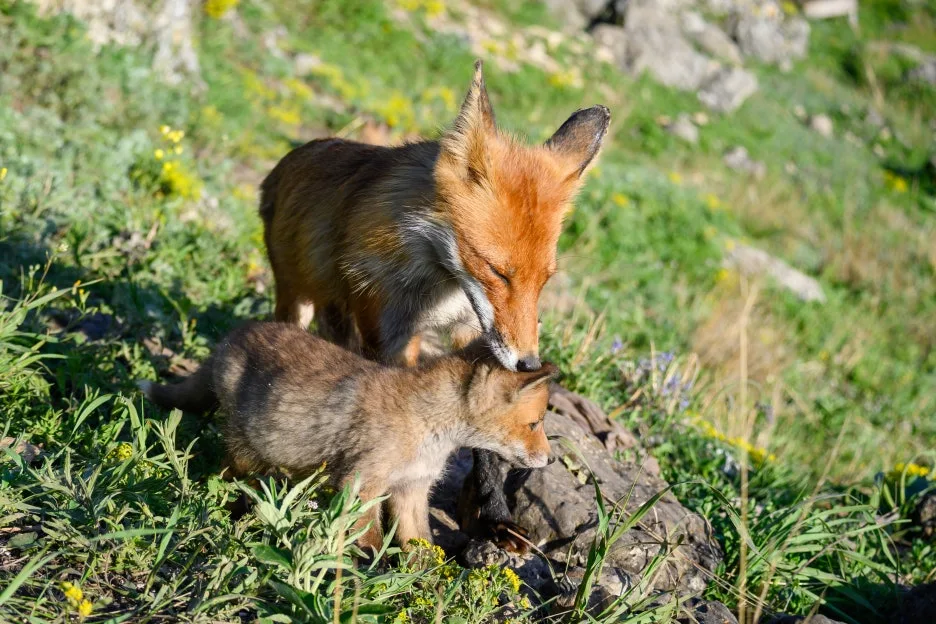 GettyImages-1471947724.jpg?type=w1