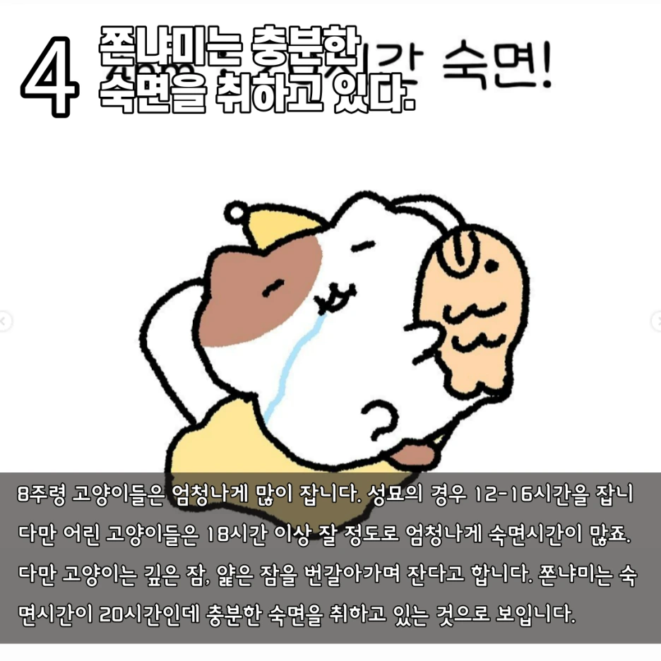 %EC%A0%9C%EB%AA%A9%EC%9D%84-%EC%9E%85%EB%A0%A5%ED%95%B4%EC%A3%BC%EC%84%B8%EC%9A%94__%EB%B3%B5%EC%82%AC%EB%B3%B8_%EB%B3%B5%EC%82%AC%EB%B3%B8_%EB%B3%B5%EC%82%AC%EB%B3%B8_%EB%B3%B5%EC%82%AC%EB%B3%B8-005.png?type=w1