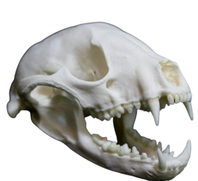 %EB%8B%A4%EC%9A%B4%EB%A1%9C%EB%93%9C_(2).png?type=w1