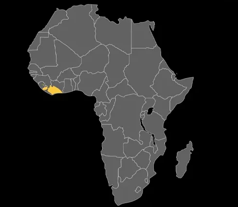 %EC%8A%A4%ED%81%AC%EB%A6%B0%EC%83%B7_2024-05-13_195540.png?type=w1