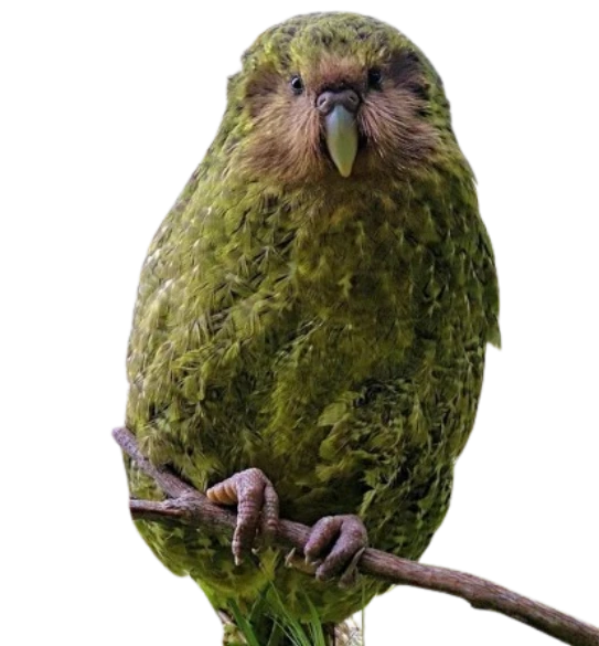 %EB%8B%A4%EC%9A%B4%EB%A1%9C%EB%93%9C.png?type=w1