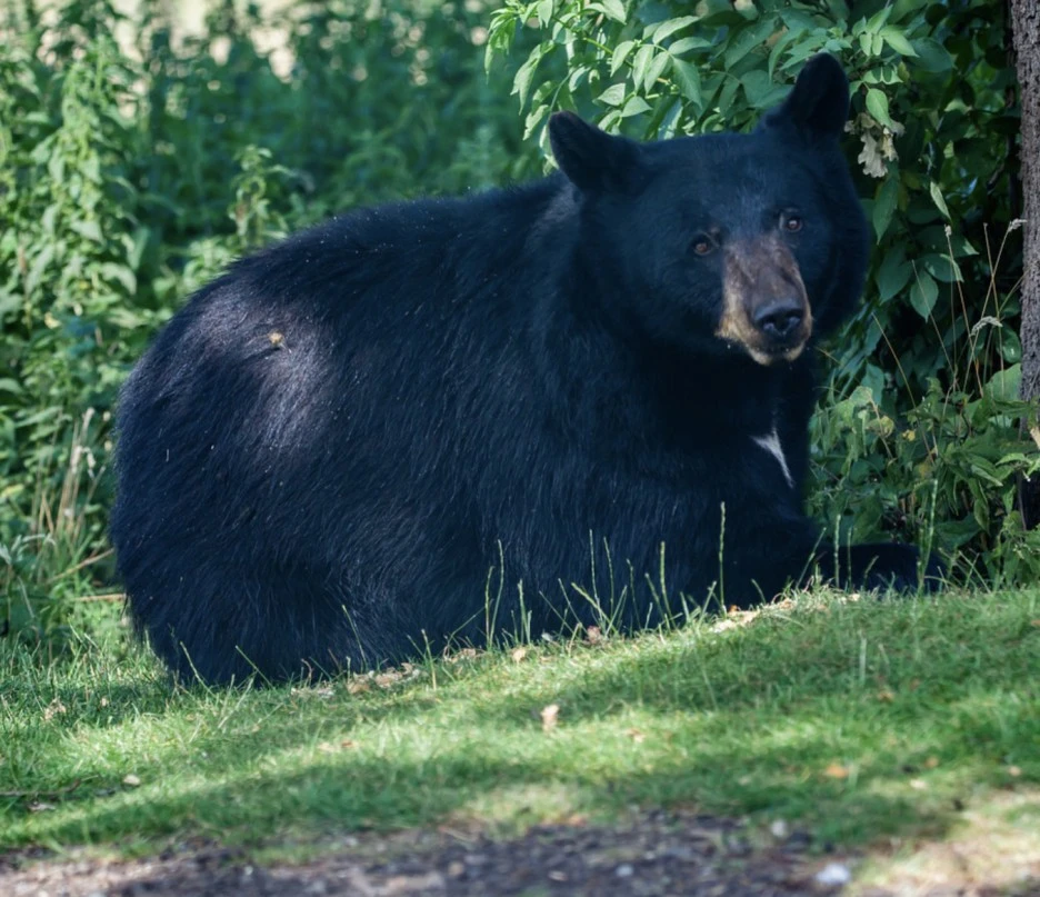 KakaoTalk_20211006_213707919.jpg?type=w1