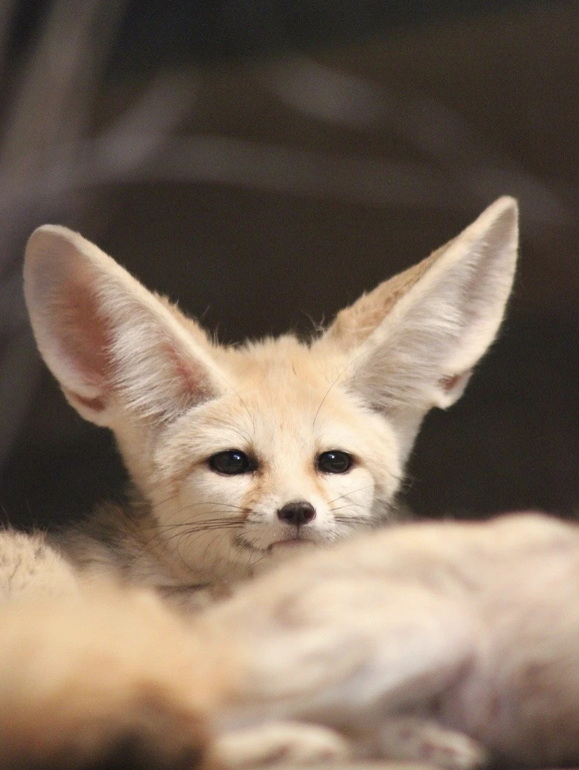 KakaoTalk_20210901_190057289.jpg?type=w1