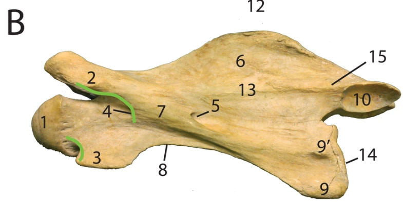 %EC%8A%A4%ED%81%AC%EB%A6%B0%EC%83%B7_2024-05-04_193050.png?type=w1