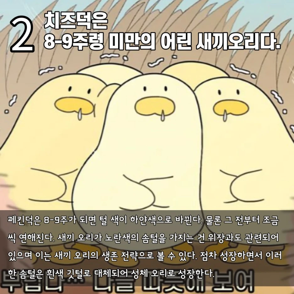 %EC%A0%9C%EB%AA%A9%EC%9D%84-%EC%9E%85%EB%A0%A5%ED%95%B4%EC%A3%BC%EC%84%B8%EC%9A%94__%EB%B3%B5%EC%82%AC%EB%B3%B8_%EB%B3%B5%EC%82%AC%EB%B3%B8_%EB%B3%B5%EC%82%AC%EB%B3%B8_%EB%B3%B5%EC%82%AC%EB%B3%B8-003.jpg?type=w1