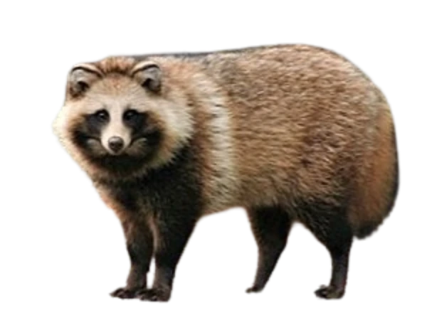 %EB%8B%A4%EC%9A%B4%EB%A1%9C%EB%93%9C_(1).png?type=w1