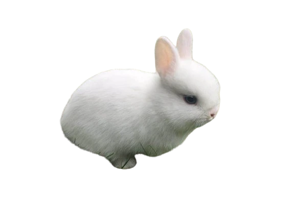 %EB%8B%A4%EC%9A%B4%EB%A1%9C%EB%93%9C_(1).png?type=w1