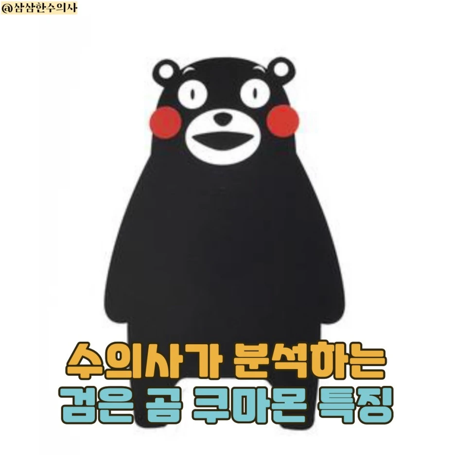 KakaoTalk_20211006_211455704_05.jpg?type=w1