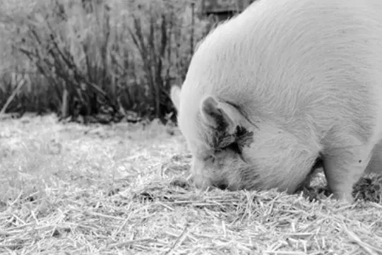 %EC%BA%A1%EC%B2%9818.JPG?type=w1