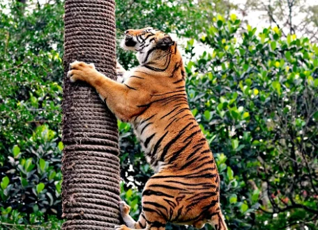 %EC%8A%A4%ED%81%AC%EB%A6%B0%EC%83%B7_2023-12-08_173024.png?type=w1