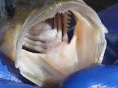 %EC%8A%A4%ED%81%AC%EB%A6%B0%EC%83%B7_2024-03-20_124205.png?type=w1