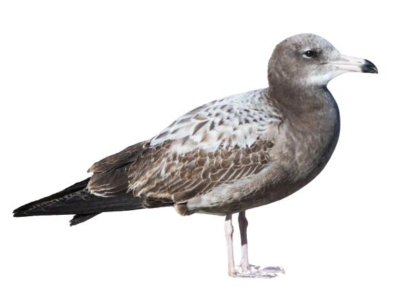 %EB%8B%A4%EC%9A%B4%EB%A1%9C%EB%93%9C_(1).png?type=w1