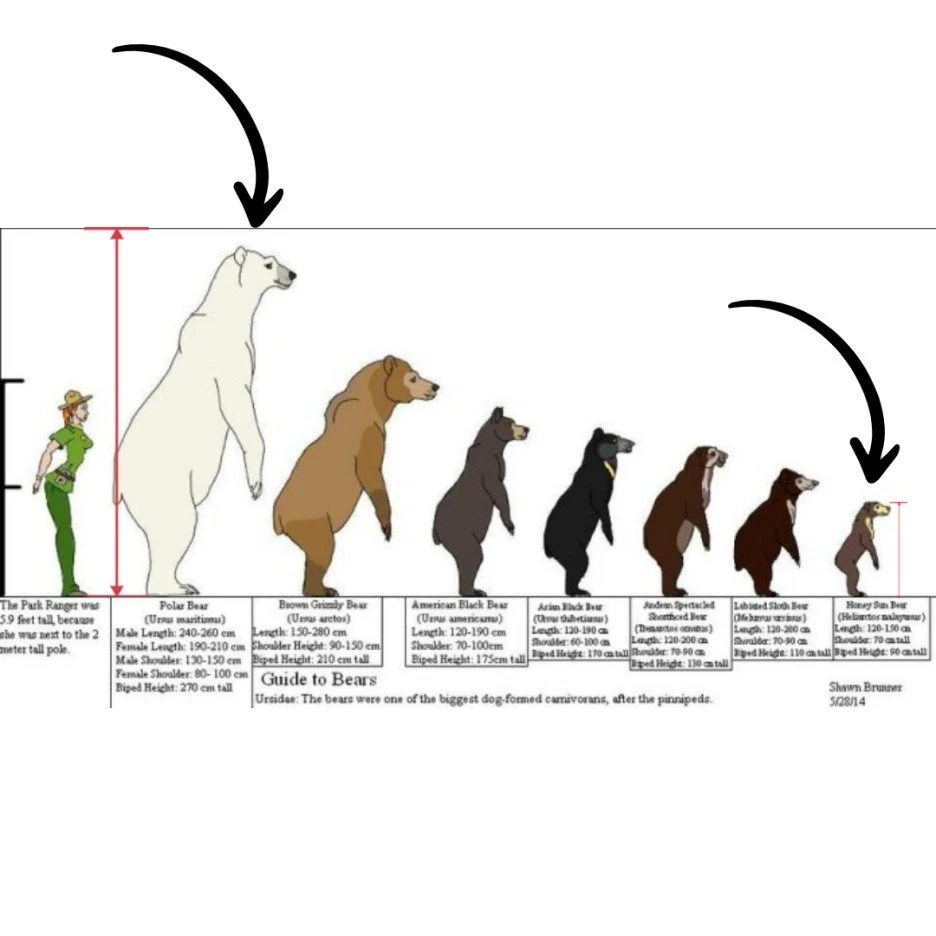 %EC%A0%9C%EB%AA%A9%EC%9D%84_%EC%9E%85%EB%A0%A5%ED%95%B4%EC%A3%BC%EC%84%B8%EC%9A%94__%EB%B3%B5%EC%82%AC%EB%B3%B8_%EB%B3%B5%EC%82%AC%EB%B3%B8_%EB%B3%B5%EC%82%AC%EB%B3%B8_%EB%B3%B5%EC%82%AC%EB%B3%B8-007.jpg?type=w1