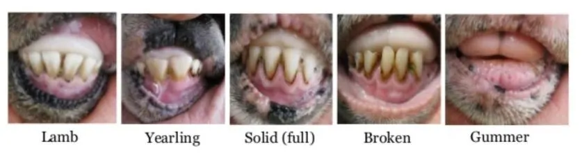 %EC%BA%A1%EC%B2%982.JPG?type=w1