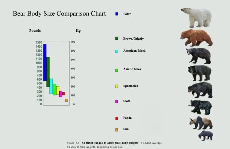 22309f3aa4836eea5a6419d4ab17f6b0.jpg?type=w1