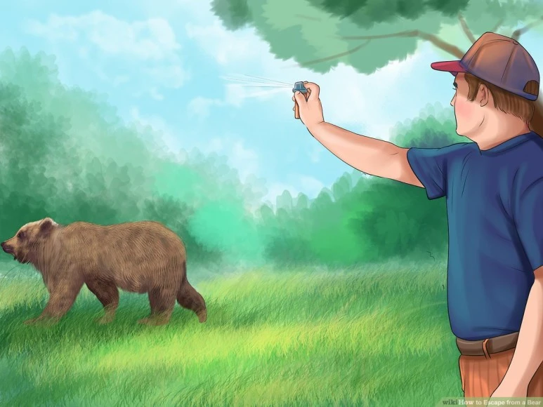 aid27307-v4-1200px-Escape-from-a-Bear-Step-20.jpg?type=w773