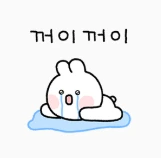 KakaoTalk_20250521_142225515.png?type=w1