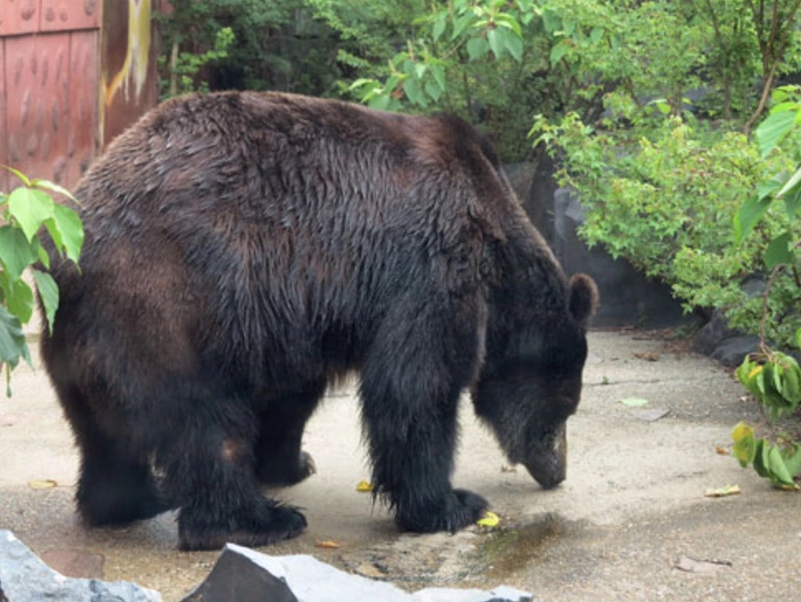 IMG_4898.jpg?type=w1